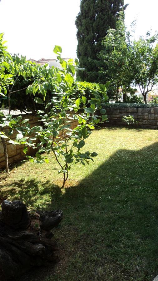 Studio Apartments Ana روفينج المظهر الخارجي الصورة
