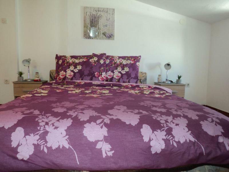 Studio Apartments Ana روفينج المظهر الخارجي الصورة