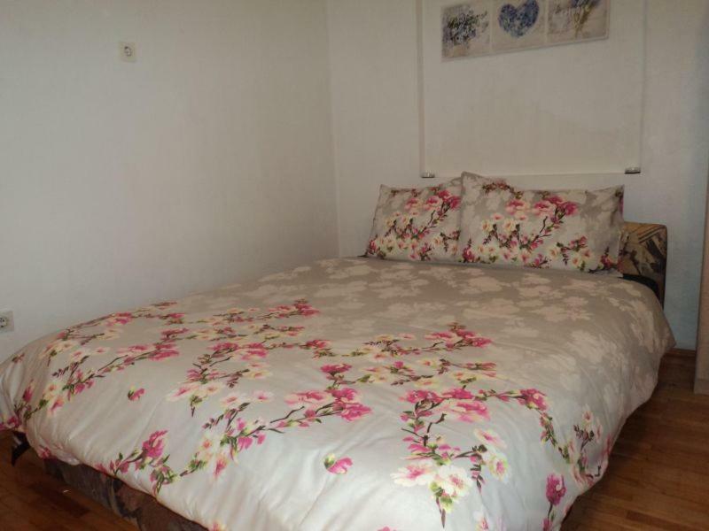 Studio Apartments Ana روفينج المظهر الخارجي الصورة